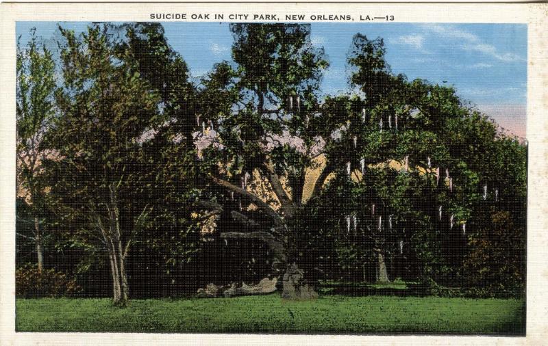 LA - New Orleans. City Park, Suicide Oak