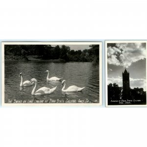 x2 LOT c1950s Ames, IA Iowa State College University RPPC Swans Evening Bell A11