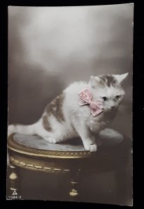 Postcard Cat on Table Bead Beady Google eye Added Ribbon Novelty France c1910