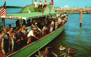 Vintage Postcard Feeding The Pelicans After Successful Fishing Trip Motor Boats