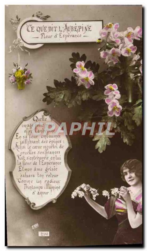 Old Postcard Fantaisie Flowers Aubepince