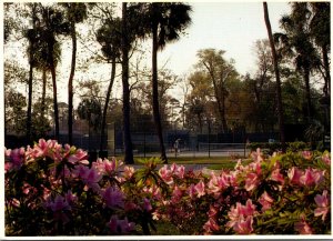 South Carolina Hilton Head Island Palmetto Dunes Resort Rod Laver Tennis Center