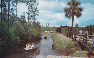 Okefenokee Swamp Park Scenic Walks And Water Trails Unfold Unsurpassed Primit...