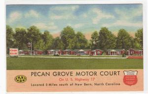 Pecan Grove Motor Court Motel New Bern North Carolina linen postcard