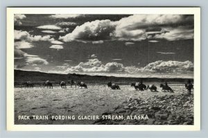 Glacier Stream AK- Alaska, Pack Train Fording, Traveling, Chrome Postcard