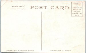 NAVAJO   SQUAW   c1910s    Native  American  Detroit  Phostint   Postcard