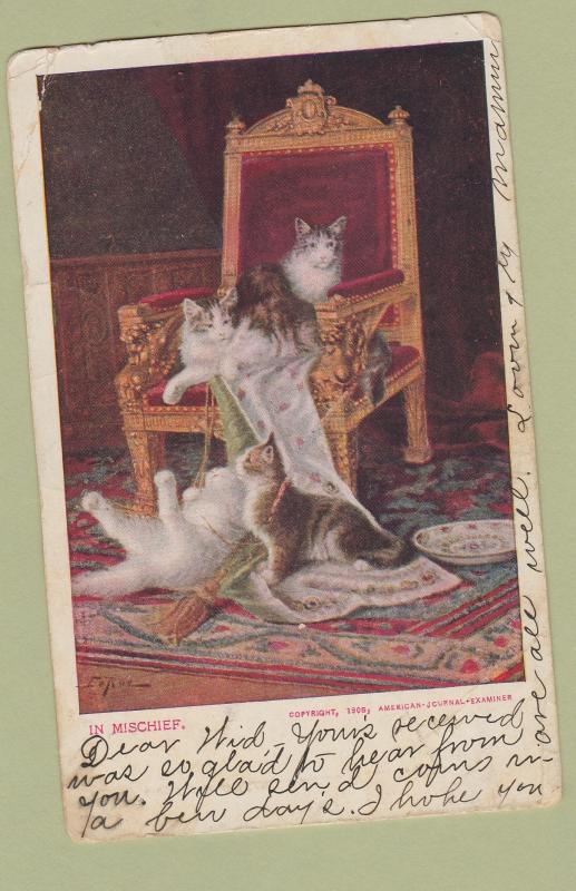 Antique Postcard In Mischief Cats Kittens Postmarked