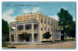 c1910's Elk's Building And Trees Oskaloosa Iowa IA Unposted Antique Postcard