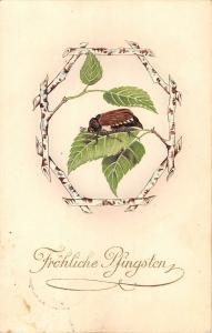 us563 frohliche pfingsten greetings beetle germany celebration