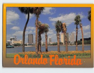 Postcard Palm Trees along Lake Eola, Orlando, Florida