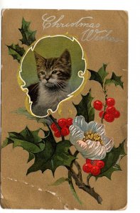 Cat, Christmas Wishes, Used 1910 Manitoba