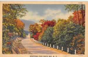 North Bay New York Scenic Roadway Greeting Antique Postcard K92579