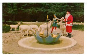 NH - Jefferson. Santa's Village, Upside Down Umbrella
