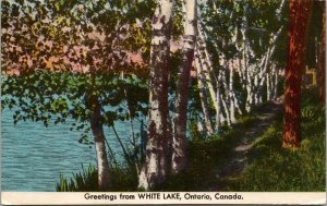 Vtg Scenic Greetings from White Lake Ontario Canada 1950s Linen Postcard