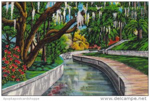 Canal Scene In Roser Park St Petersburg Florida