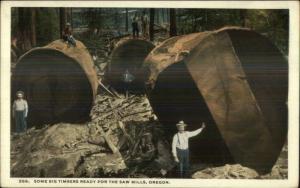 Oregon Logging Industry Lumberjacks Giants Logs Timbers c1920 Postcard