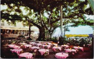 Moana Hotel Banyan Court Lanai Hawaii HI Unused Postcard E14