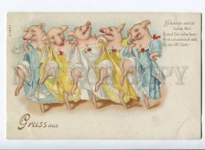 262567 CABARET Dressed PIG Dancer CANCAN Vintage postcard