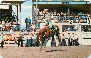 Western, The Rodeo, Bucking Bronco, Dexter No. 19252-B