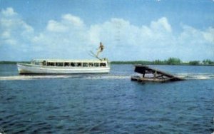 Water Skiing - Misc, Florida FL  