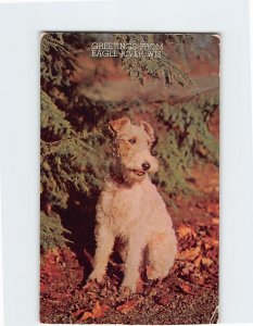 Postcard Fox Terrier, Greetings From Eagle River, Wisconsin