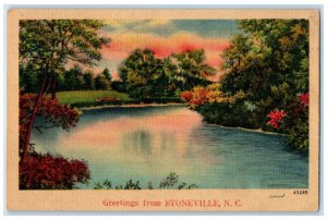1947 Greetings From River Lake Trees Stoneville North Carolina Vintage Postcard