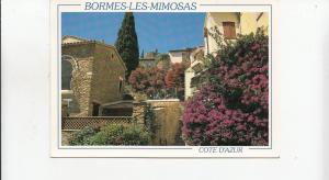 BF20532 bormes les mimosas   france  front/back image