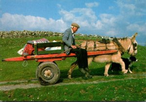 Ireland Going Home Donkey Cart