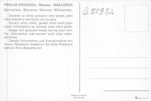 B51982 Mallorca Manacor Perlas Orquidea  spain