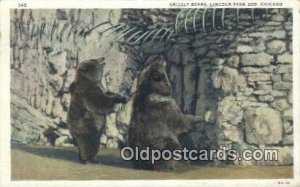 Lincoln Park Zoo, Chicago, Ill, USA Bear 1960 light wear postal used 1960