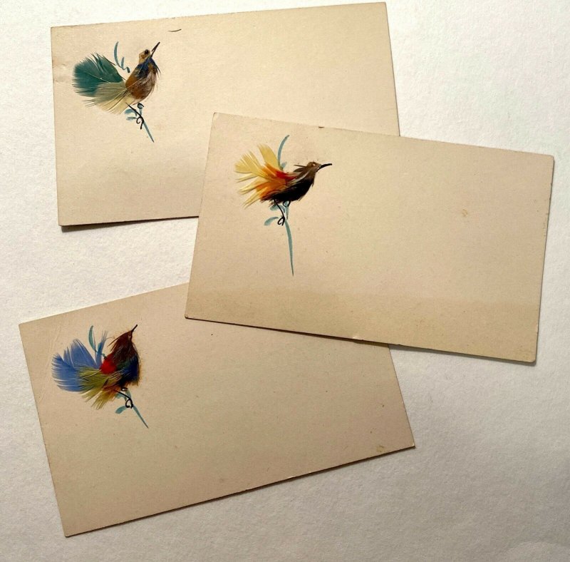 Dyed feather bird calling cards Victorian unused lot of 3 colors