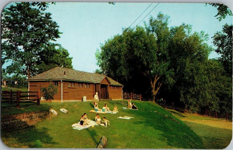 Blue Rock State Reserve, Blue Rock Ohio c1962 Vintage Postcard N10