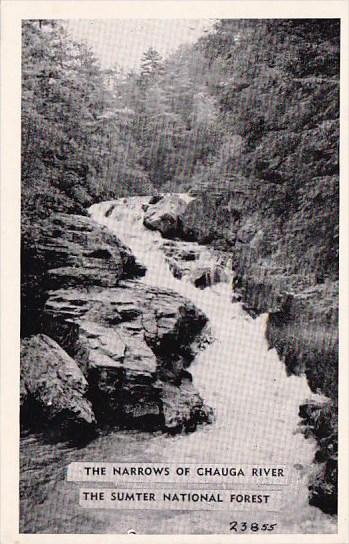 The Narrows Of Chauga River In The Sumter National Forest Walhalla South Caro...