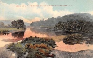 Susquehanna River Bainbridge, New York