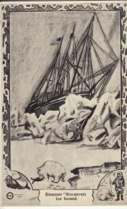 EXPLORER  COOK & PEARY, SS ROOSEVELT postcard 25