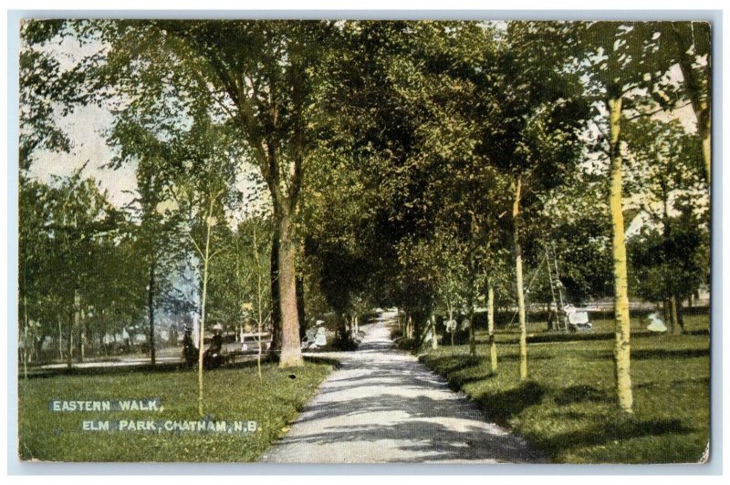 1907 Eastern Walk Elm Park Chatham New Brunswick Canada Antique Posted Postcard