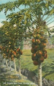 C-1910 Papaia Fruit tree Hawaiian Islands Postcard Curios 1875 Private Mailing