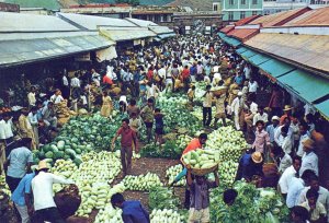 VINTAGE POSTCARD CONTINENTAL SIZE AUCTION SALE TOWN MARKET PORT LOUIS MAURITIUS