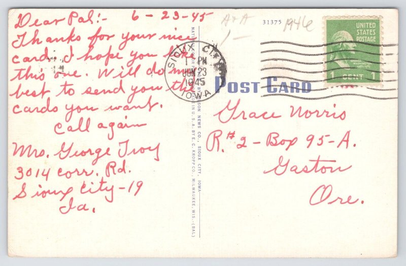 Sioux City Iowa~3 State View from War Eagle Grave~Train Tracks~Linen Postcard