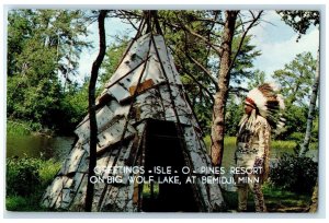 c1960 Greetings Isle O Pines Resort Big Wolf Lake Bemidji Minnesota MN Postcard