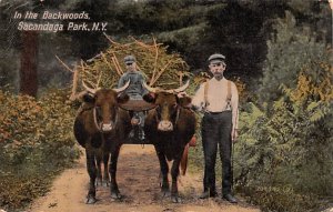 Backwoods Sacandaga Park, New York, USA Postal Used Unknown, Missing Stamp 