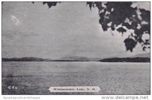 New Hampshire Winnipesaukee Lake Dexter Press