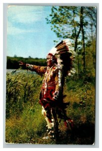 Vintage 1960's Postcard Northwoods Native American Headdress at the River