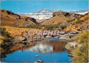 Postcard Modern South Africa Natal Drakensberg Solitude by a Mountain Stream