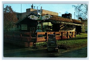 Vintage Visitors Imformation Log Cabin Postcard P135E