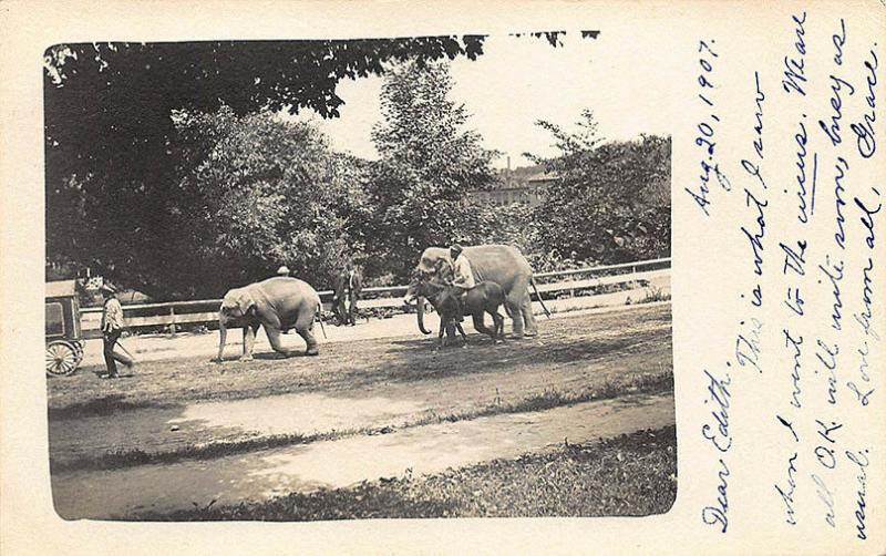 North Haverhill NH Part of The Circus Elephants & Push Cart Real Photo Postcard