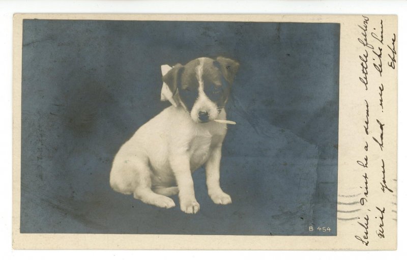 Sweet Little Pup       *RPPC