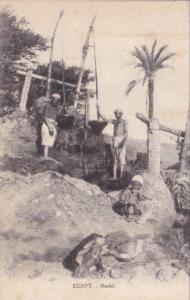 Egypt Cairo Chadouf Men Using Ancient Irrigation Tool