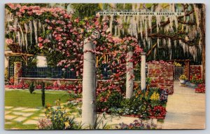 Savannah Georgia~Wormsloe Gardens Trellis Columns~Vintage Linen Postcard