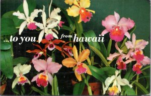 Postcard To you from Hawaii - orchids